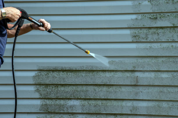 Reliable Buena Vista, MI Pressure washing Solutions